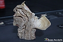 VBS_3133 - Udito. Base del cranio con orecchio interno - Mostra Body Worlds